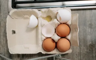 Oznaczenia jajek a ich pochodzenie. Jak przechowywać jaja i jak sprawdzić, czy jajko jest świeże? Jak długo gotować na miękko i na twardo?